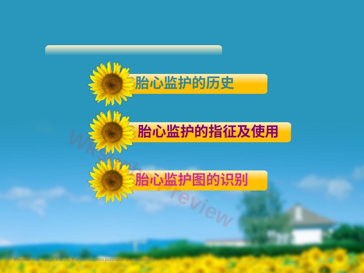 预览第 3 页
