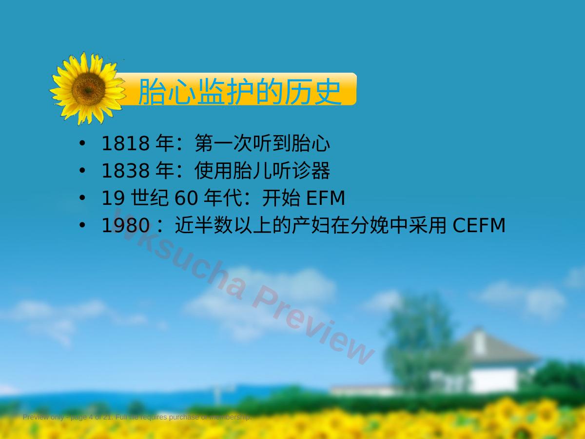 预览第 4 页