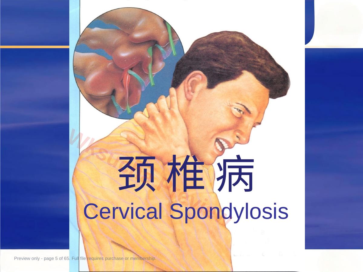 预览第 5 页