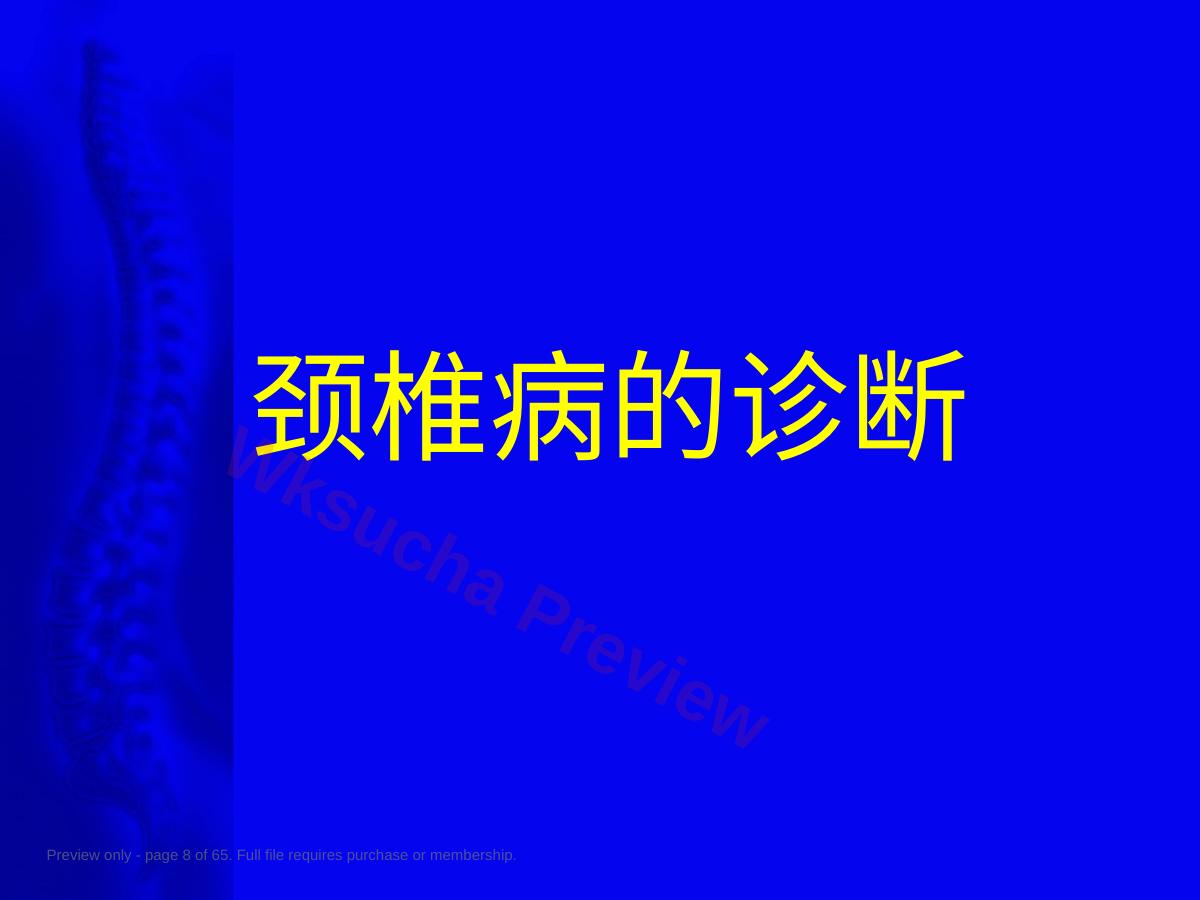 预览第 8 页