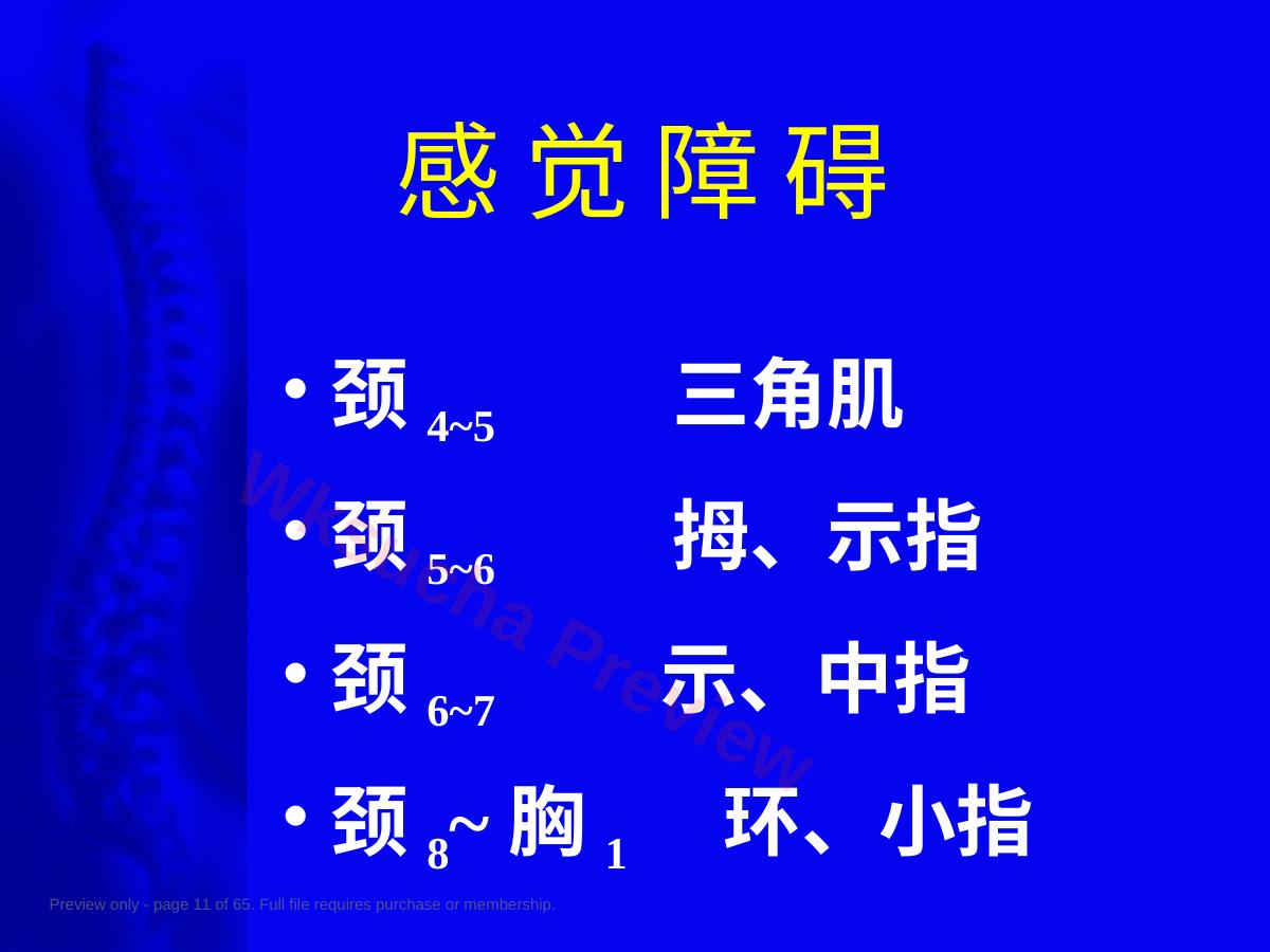 预览第 11 页