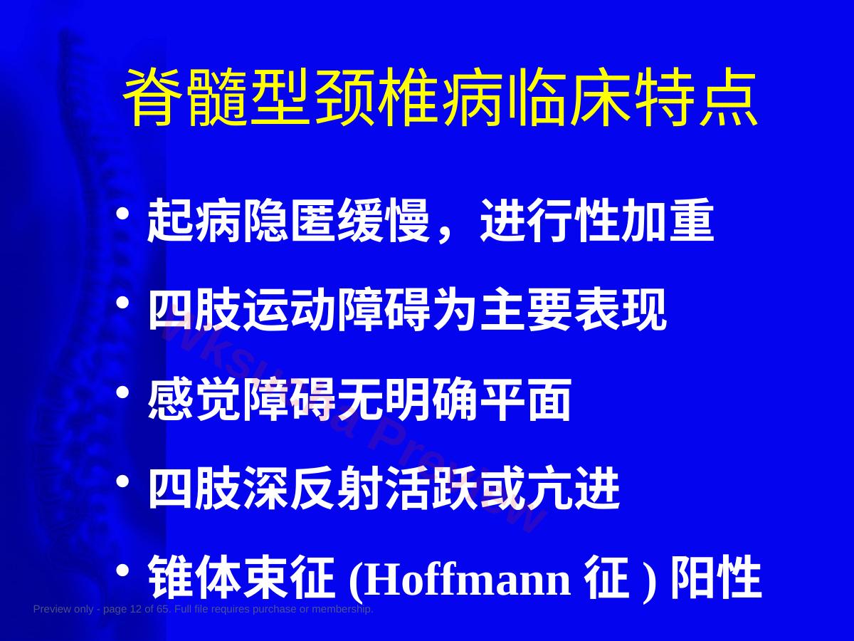 预览第 12 页