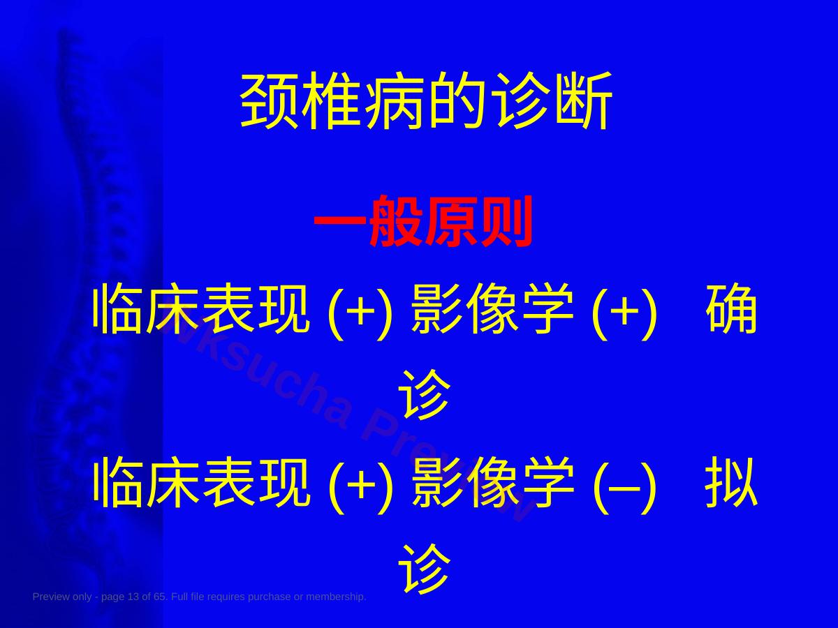预览第 13 页