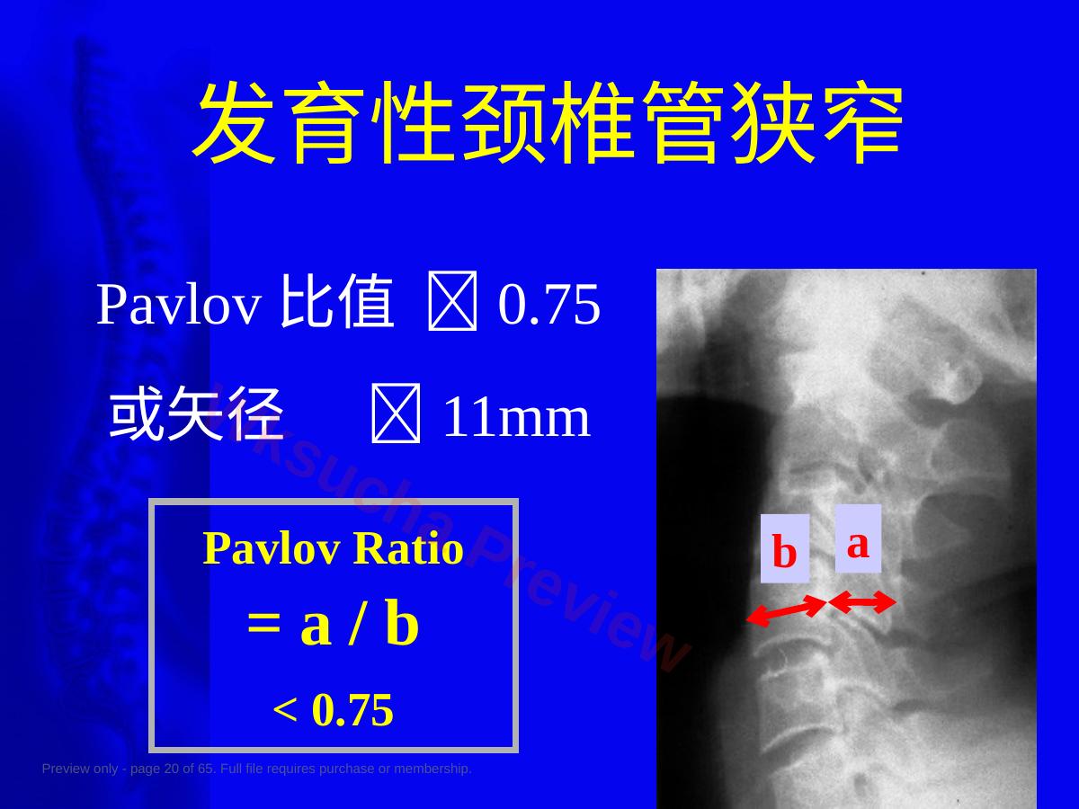 预览第 20 页