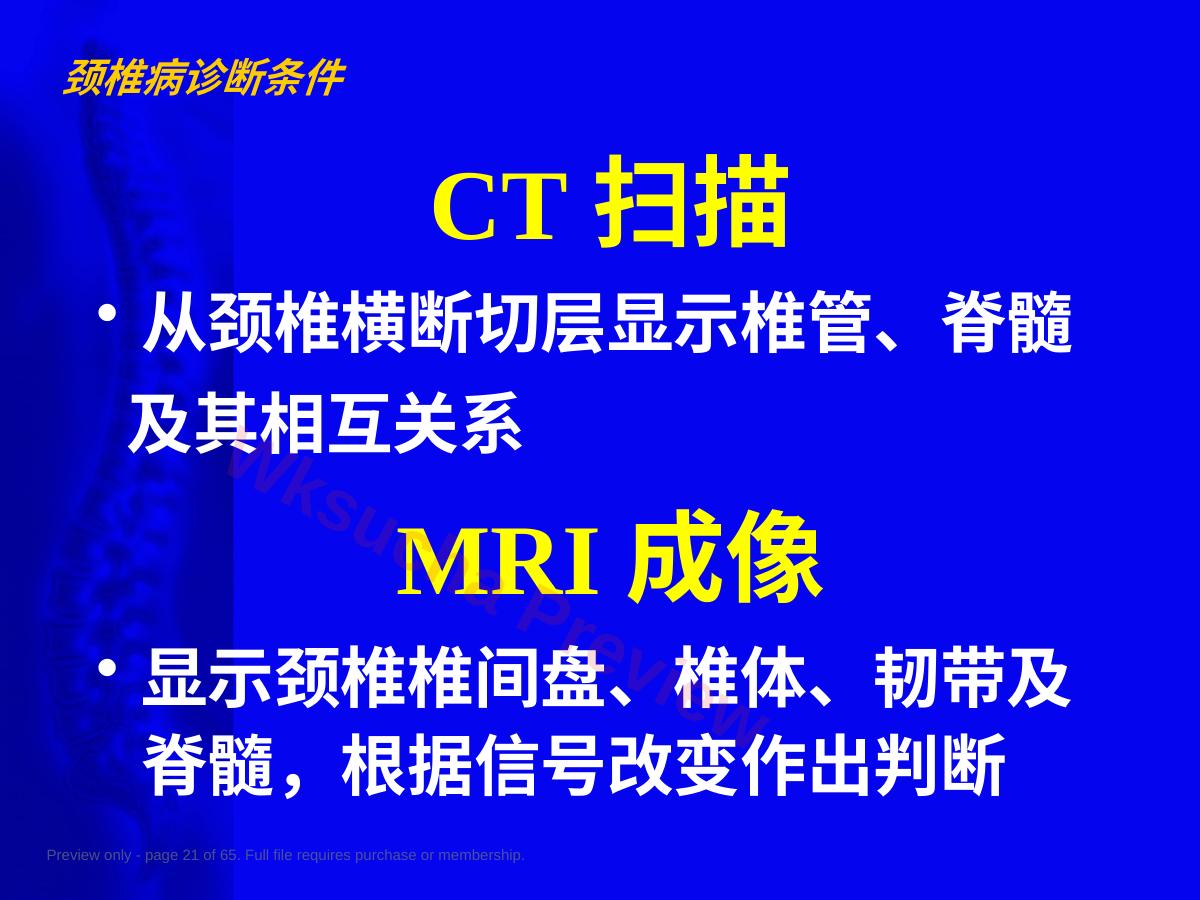 预览第 21 页