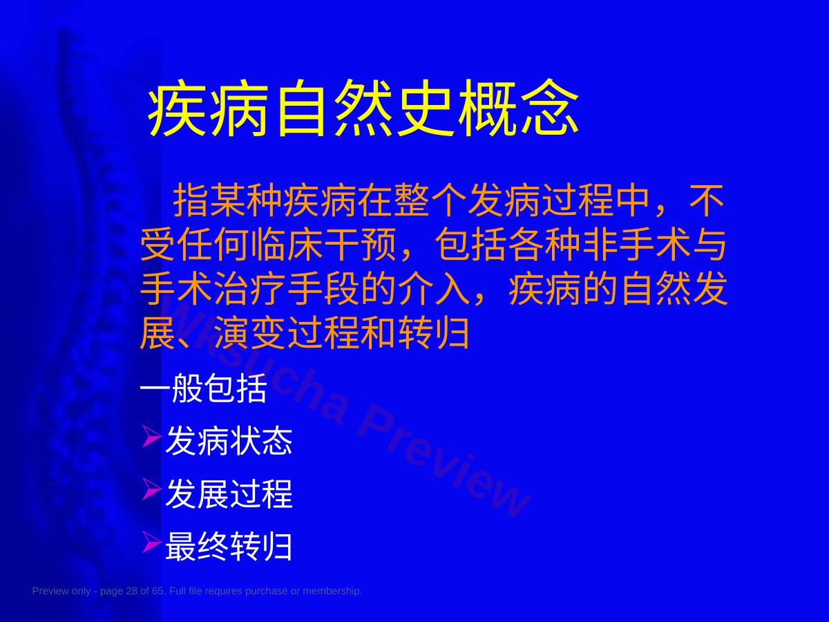 预览第 28 页