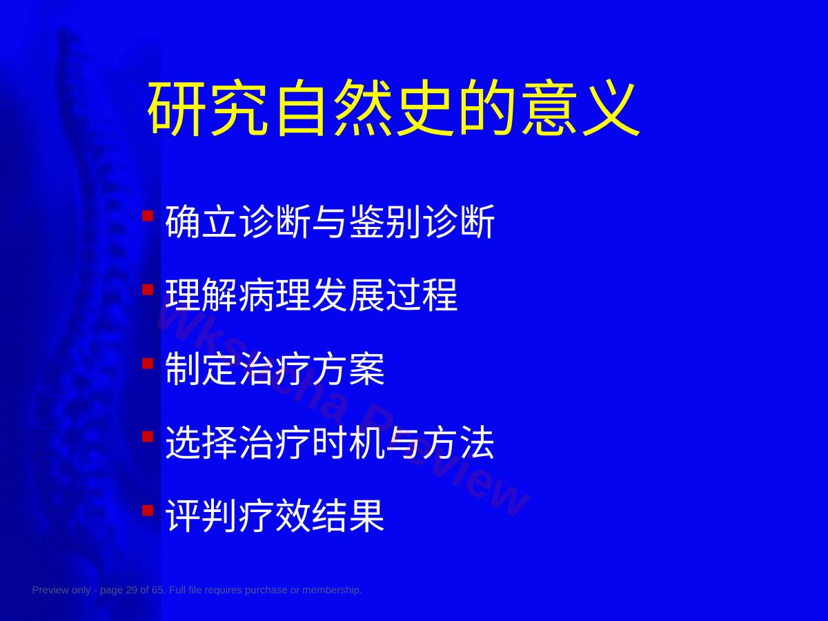 预览第 29 页