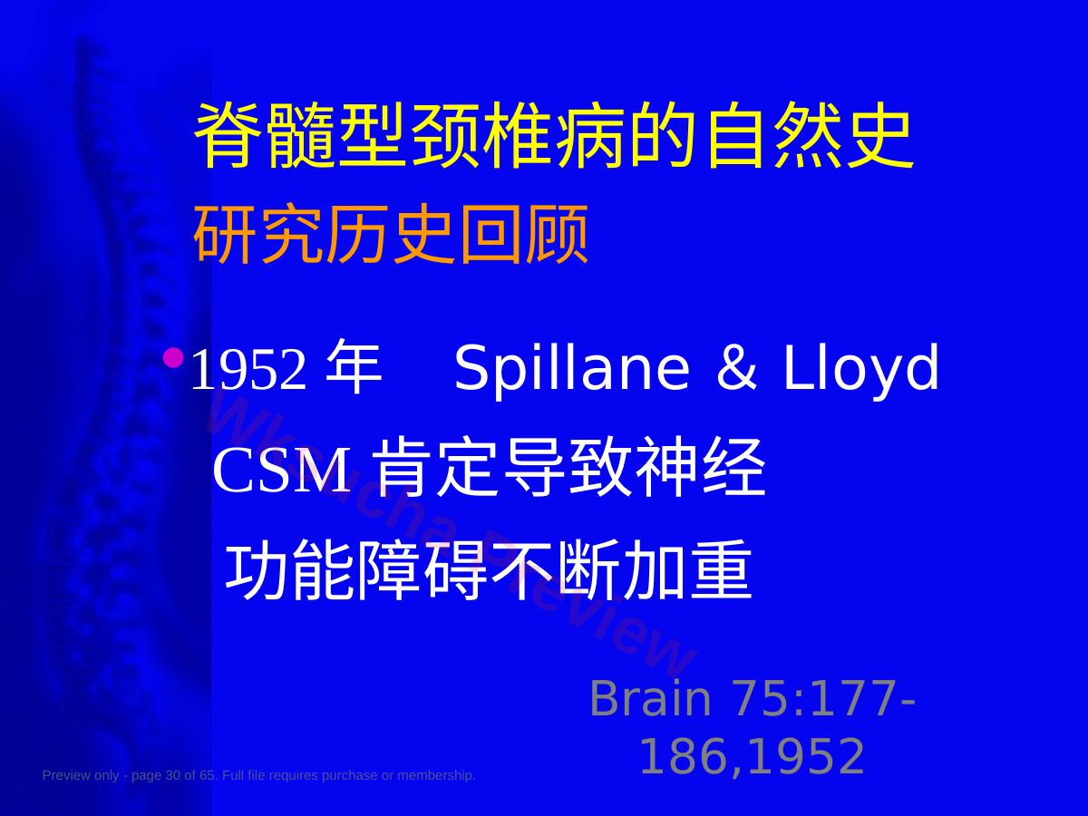 预览第 30 页