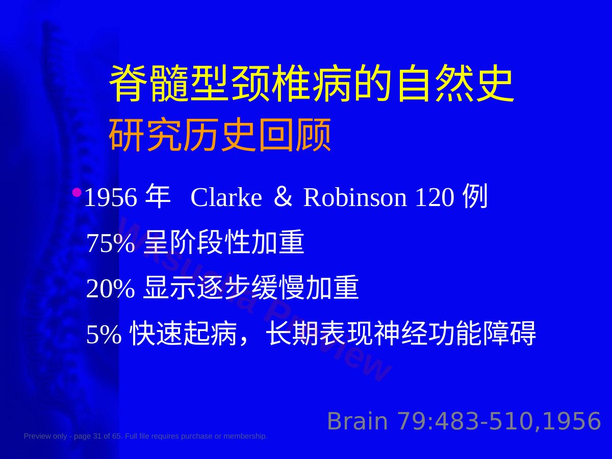 预览第 31 页