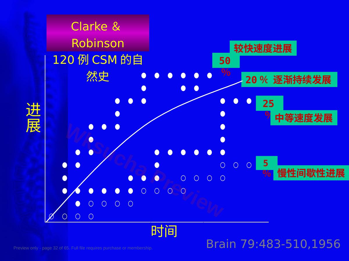 预览第 32 页