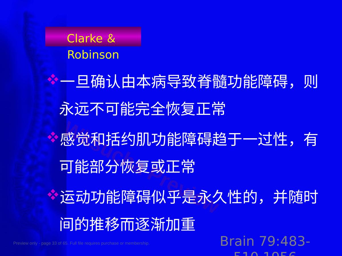 预览第 33 页