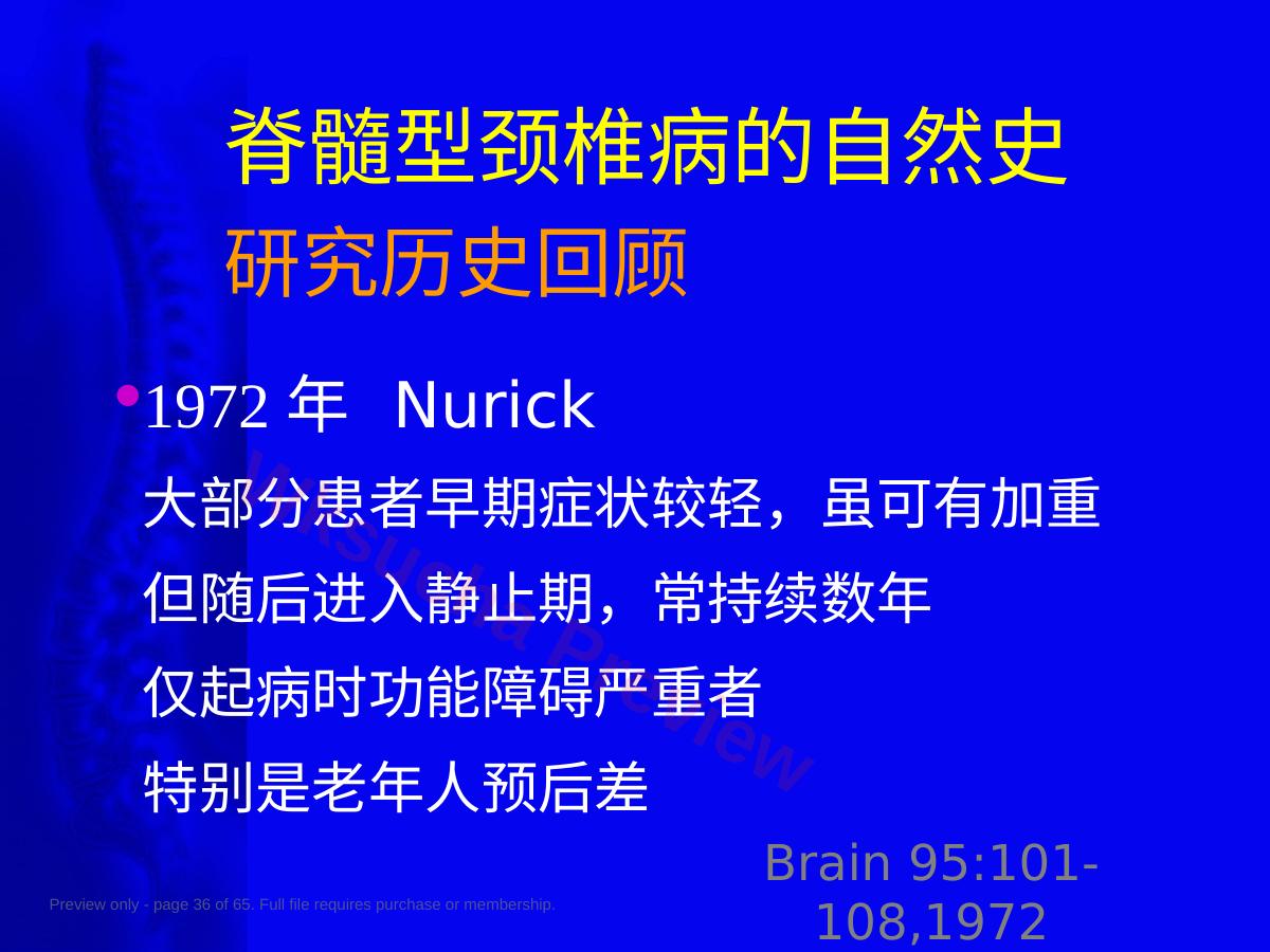预览第 36 页