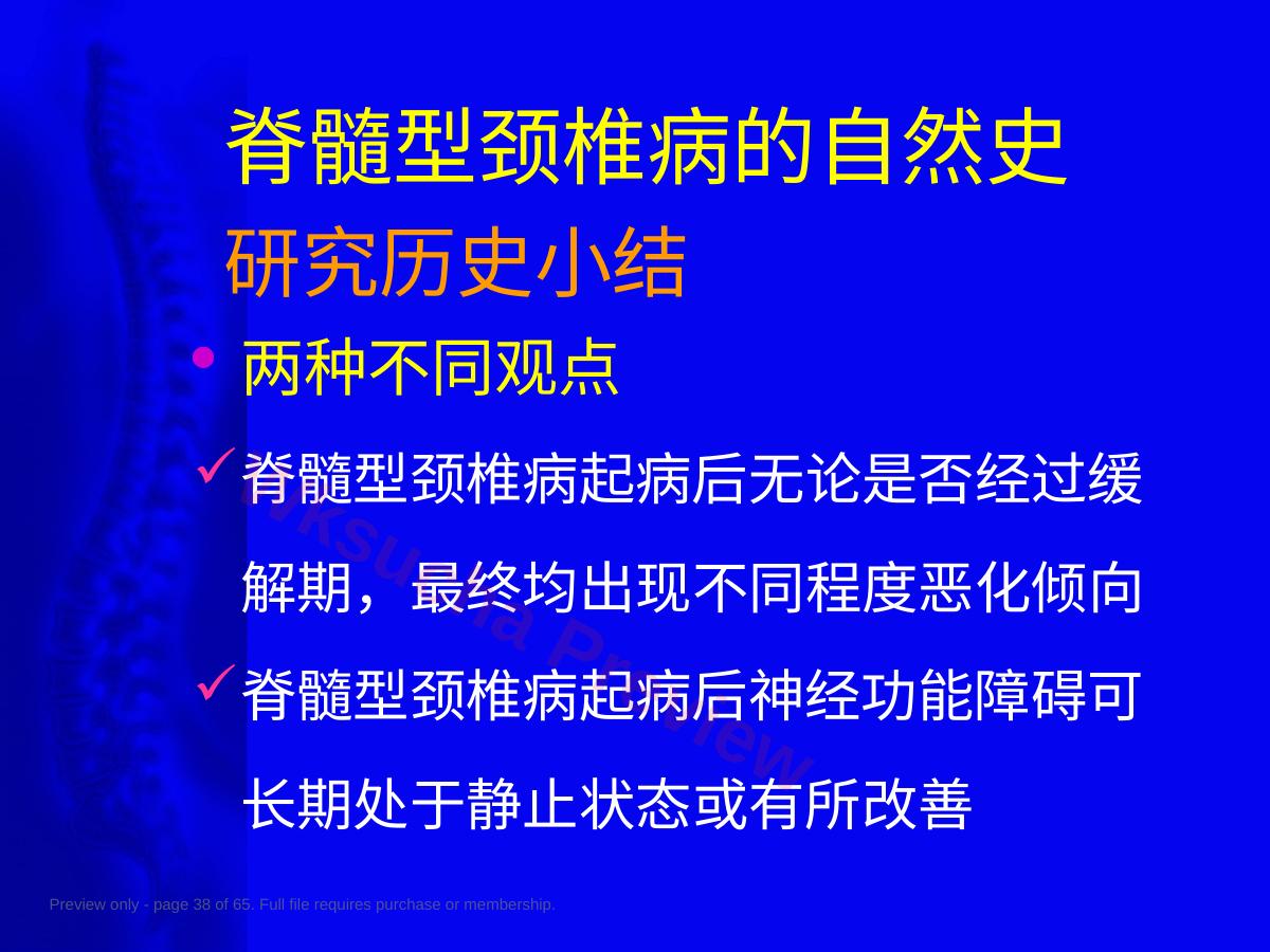 预览第 38 页