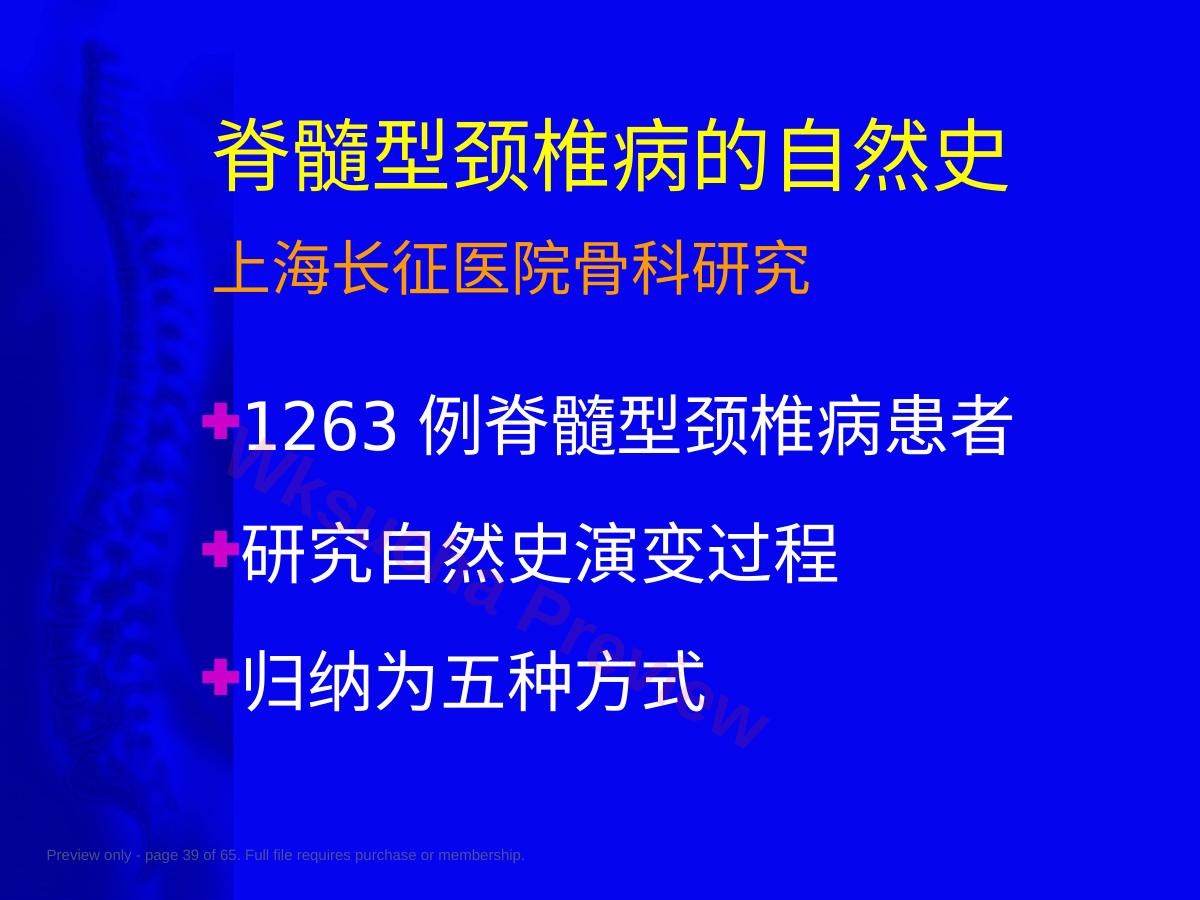 预览第 39 页