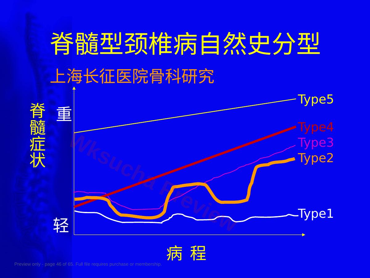 预览第 46 页