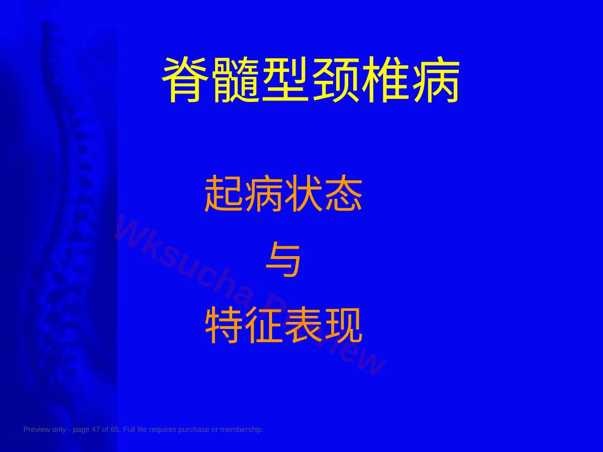 预览第 47 页