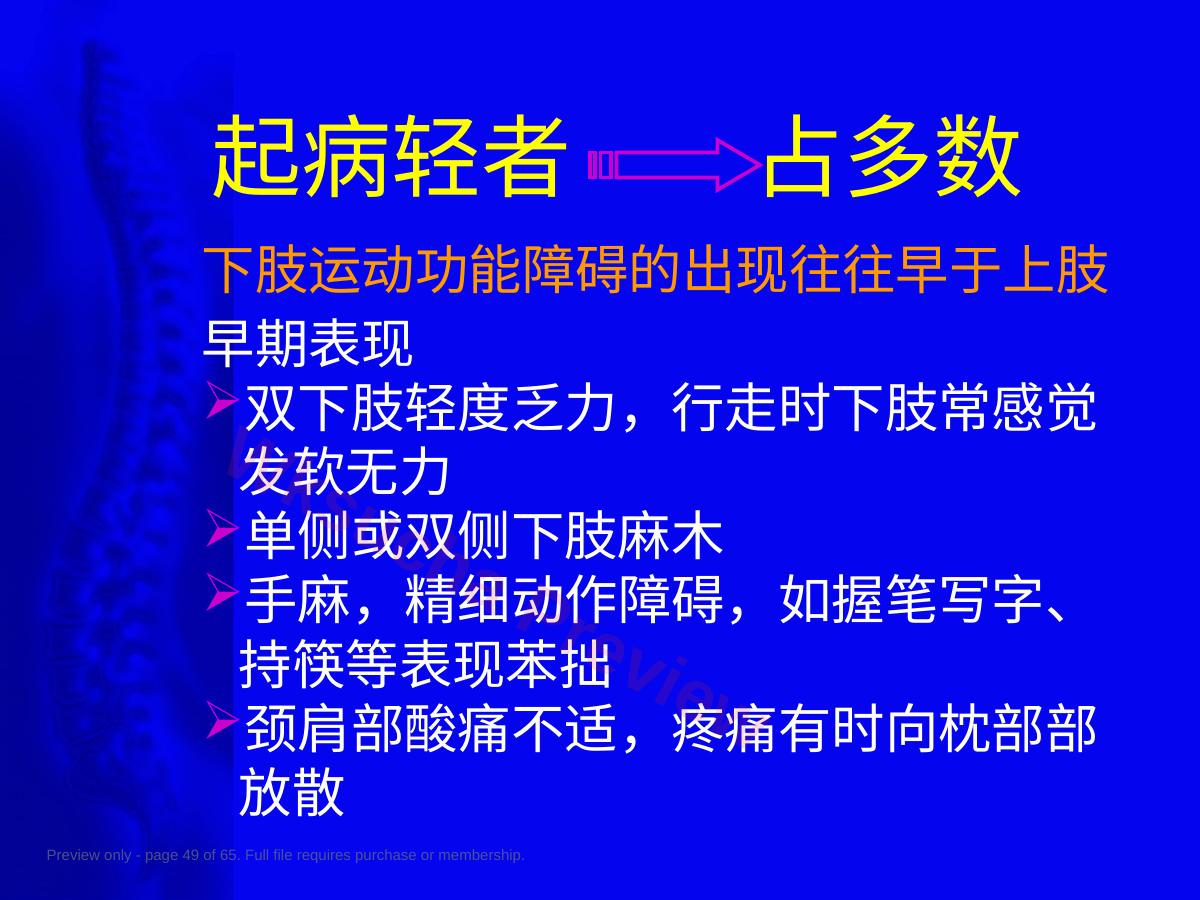 预览第 49 页