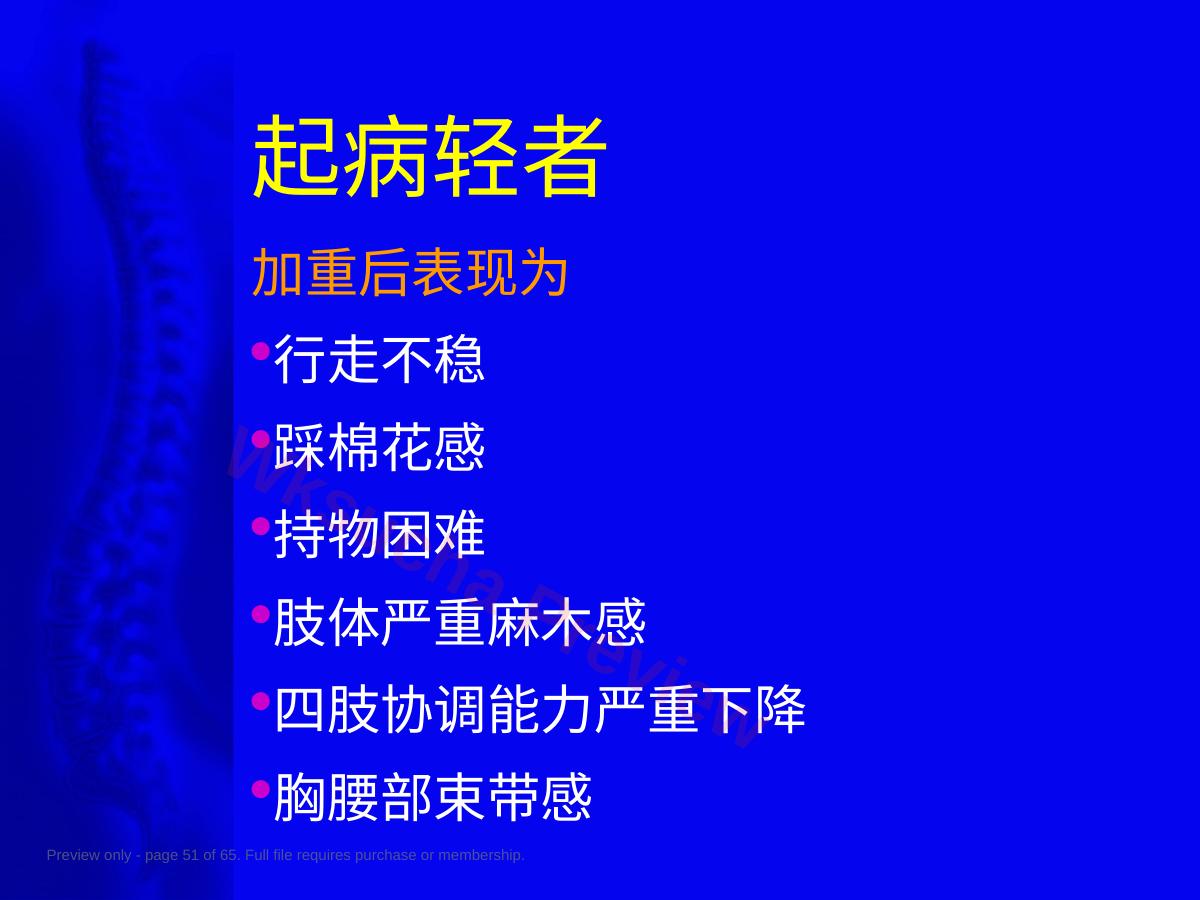 预览第 51 页