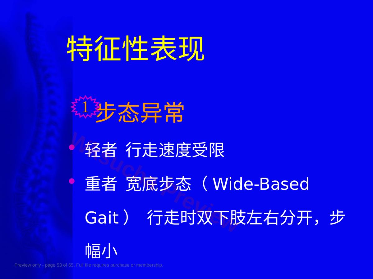 预览第 53 页
