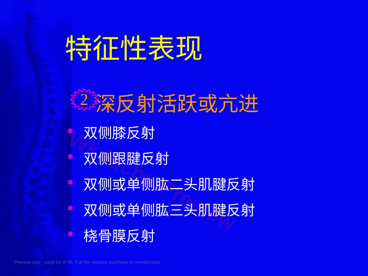 预览第 54 页