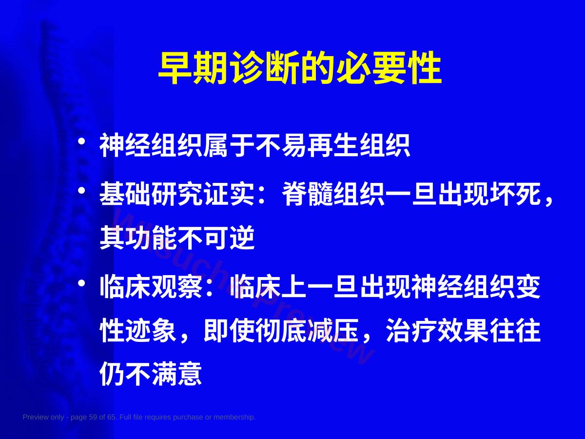 预览第 59 页