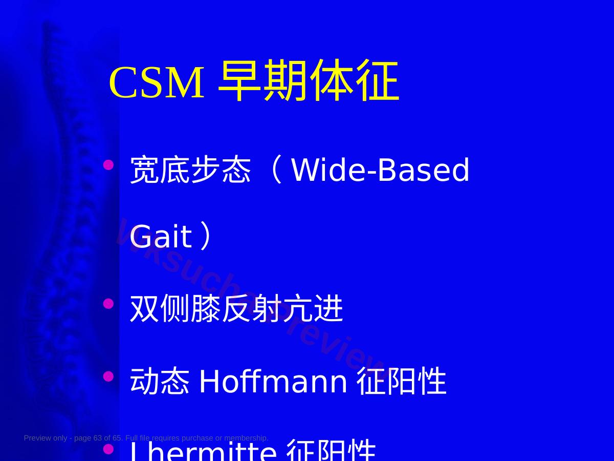 预览第 63 页
