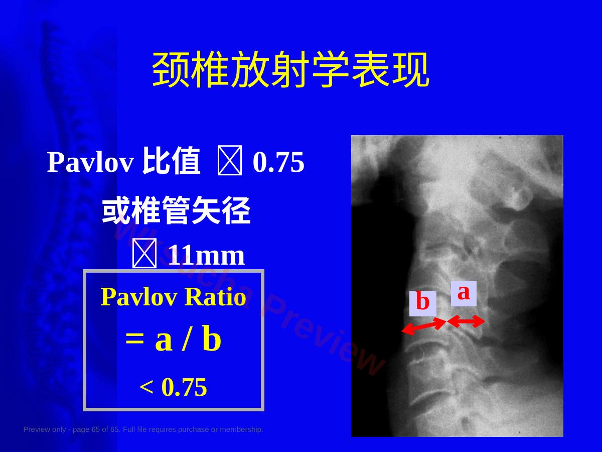 预览第 65 页