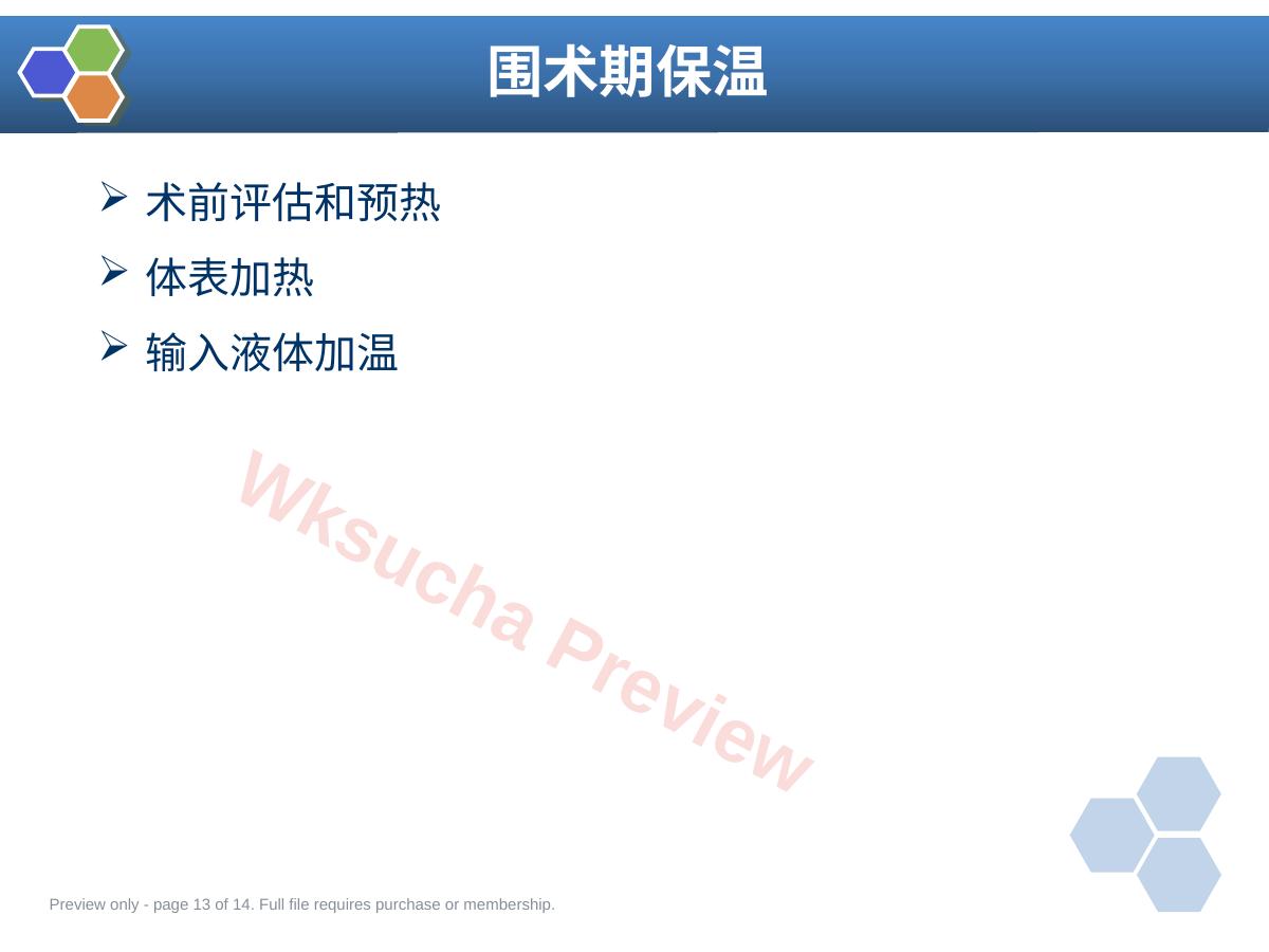 预览第 13 页