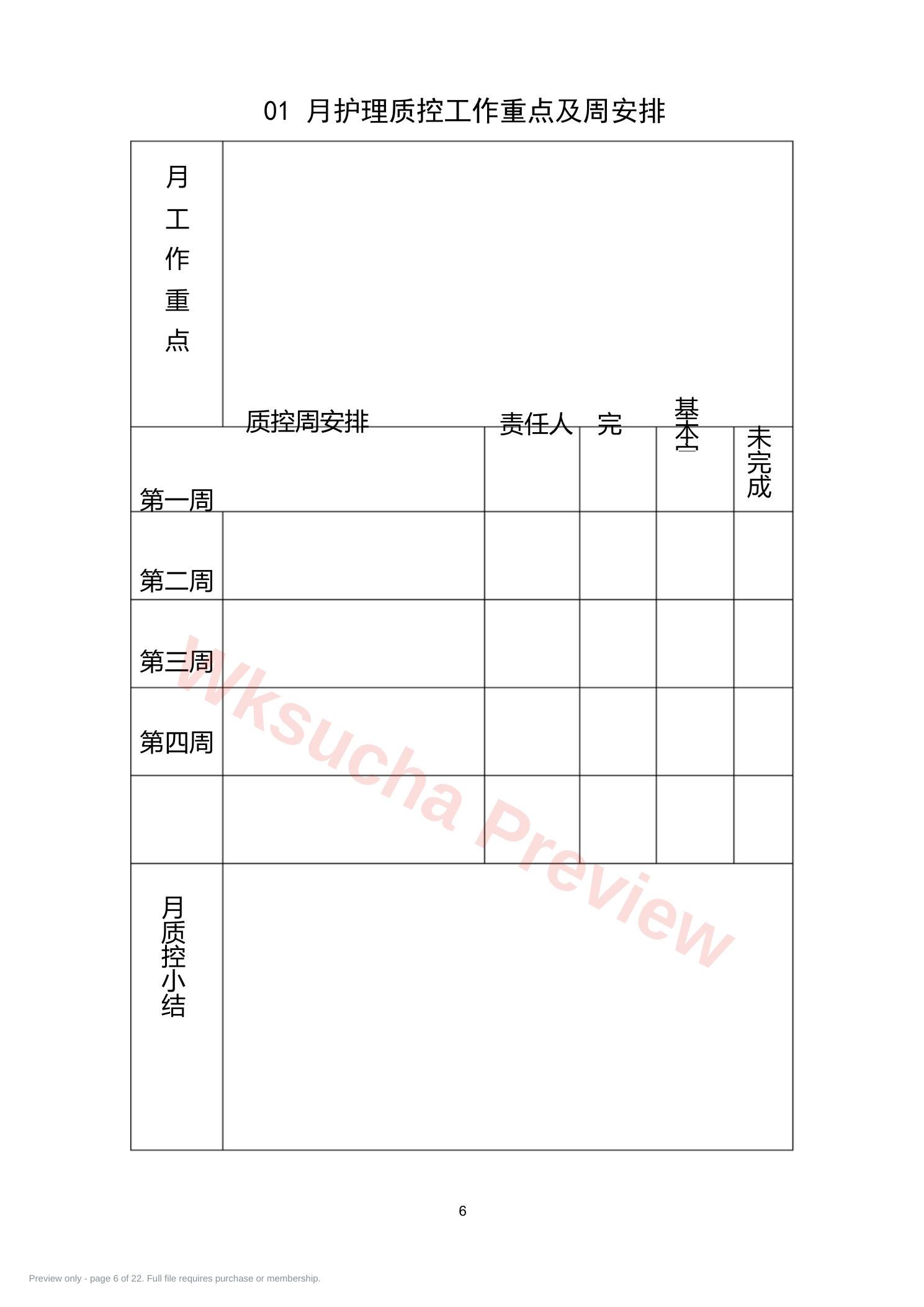 预览第 6 页