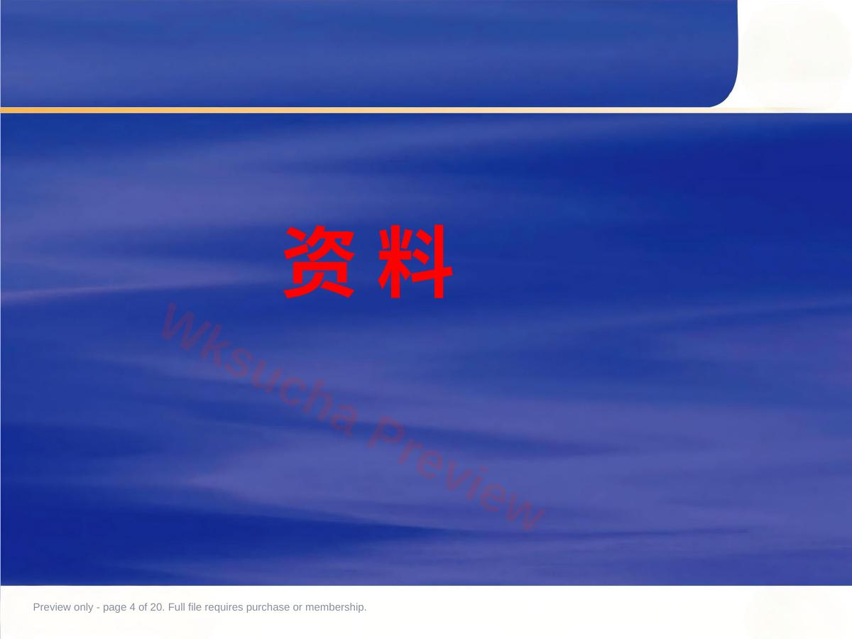 预览第 4 页