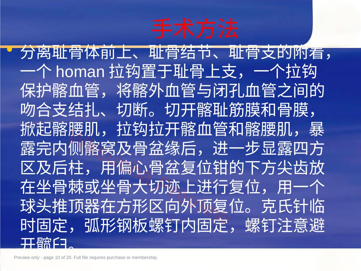 预览第 10 页