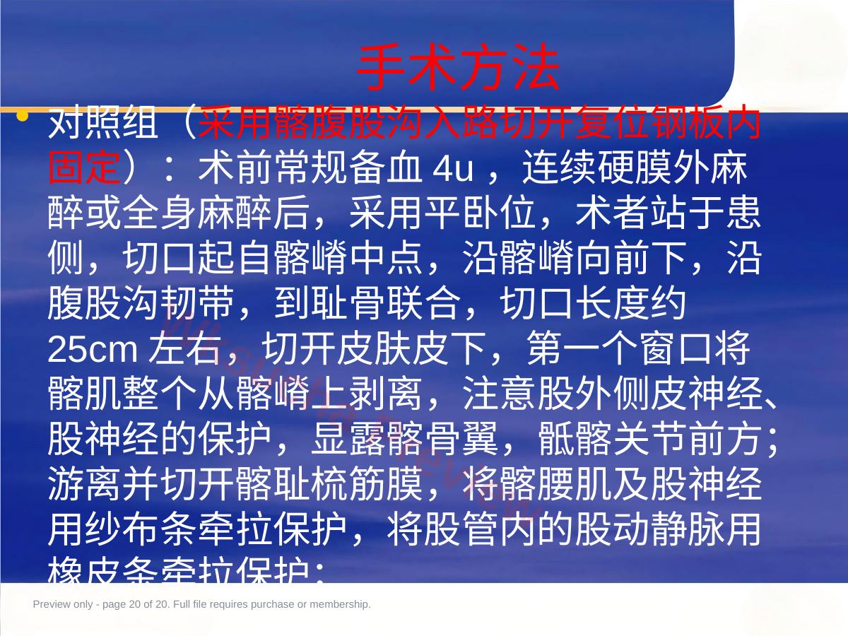预览第 20 页