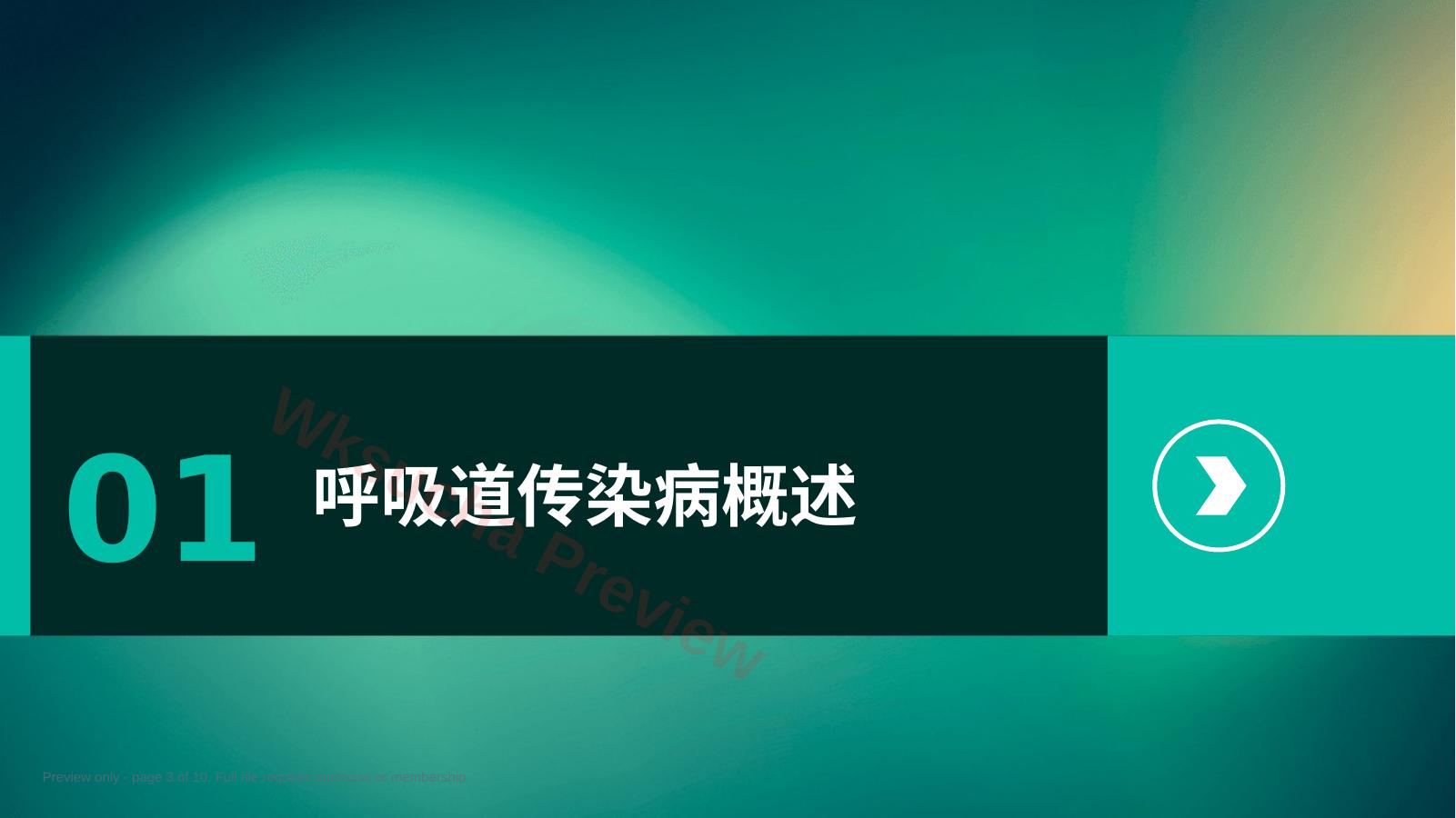 预览第 3 页