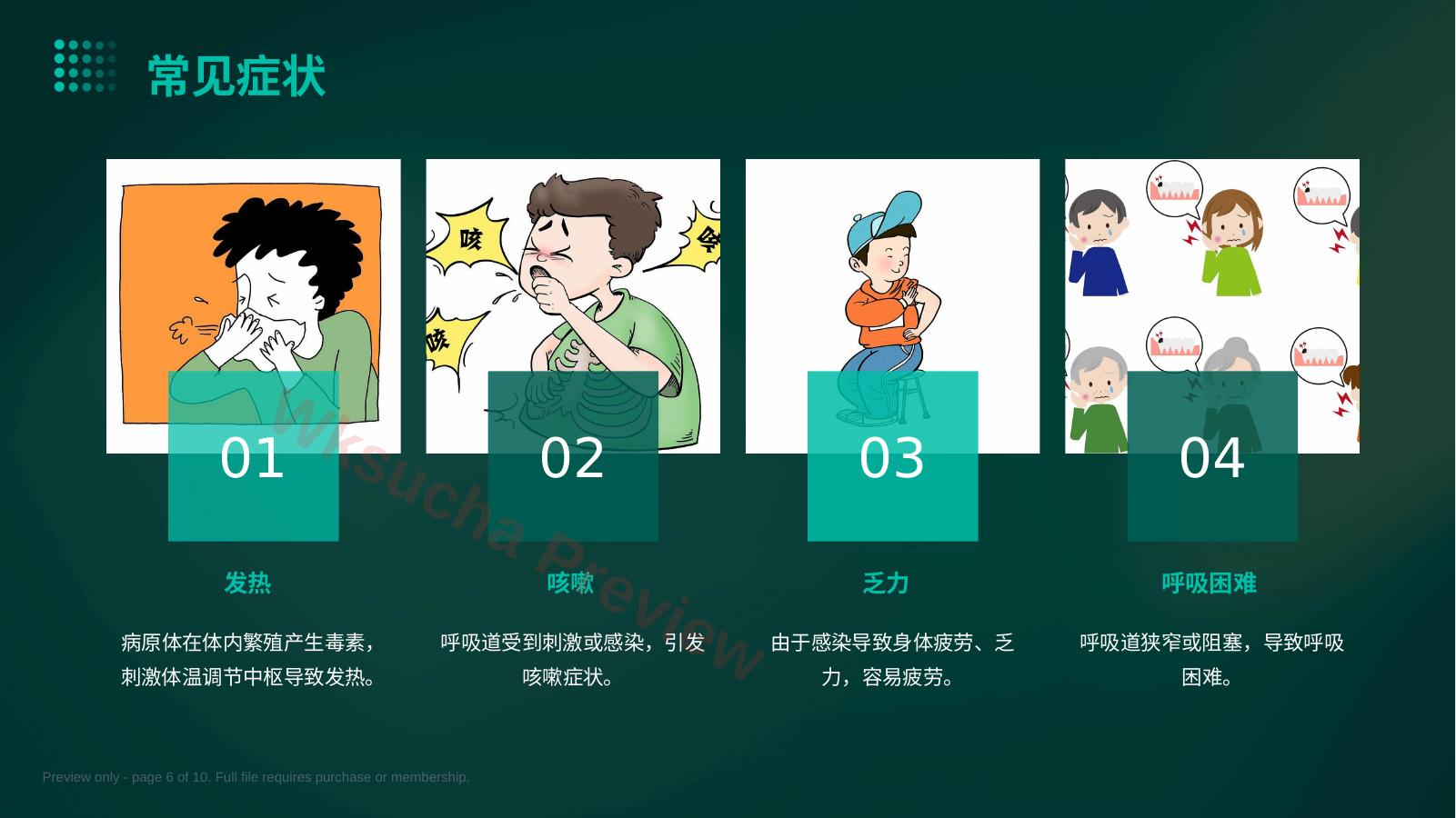预览第 6 页