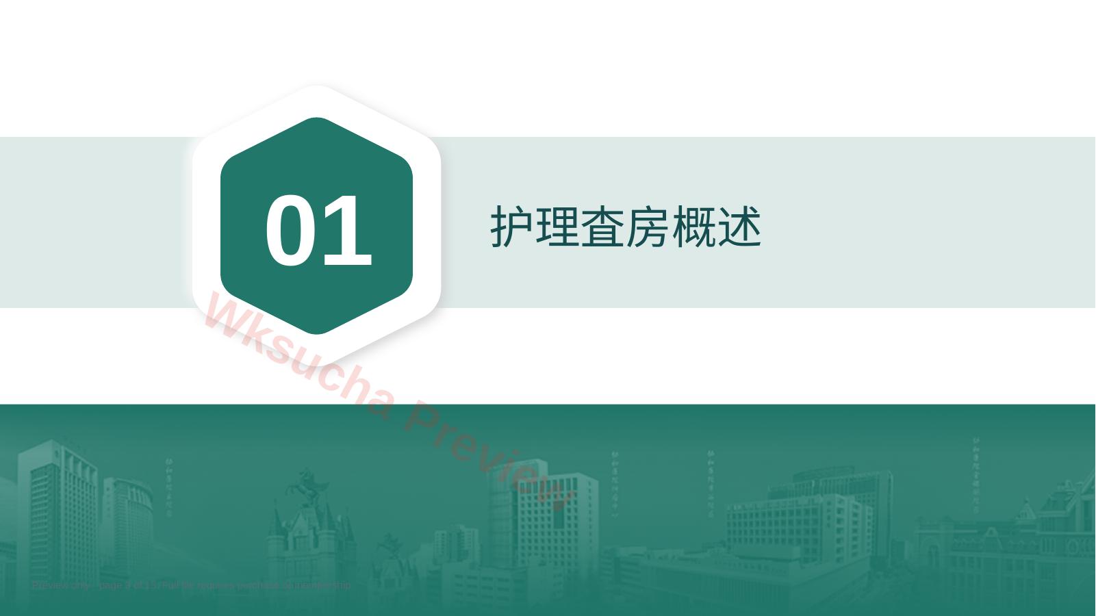 预览第 3 页