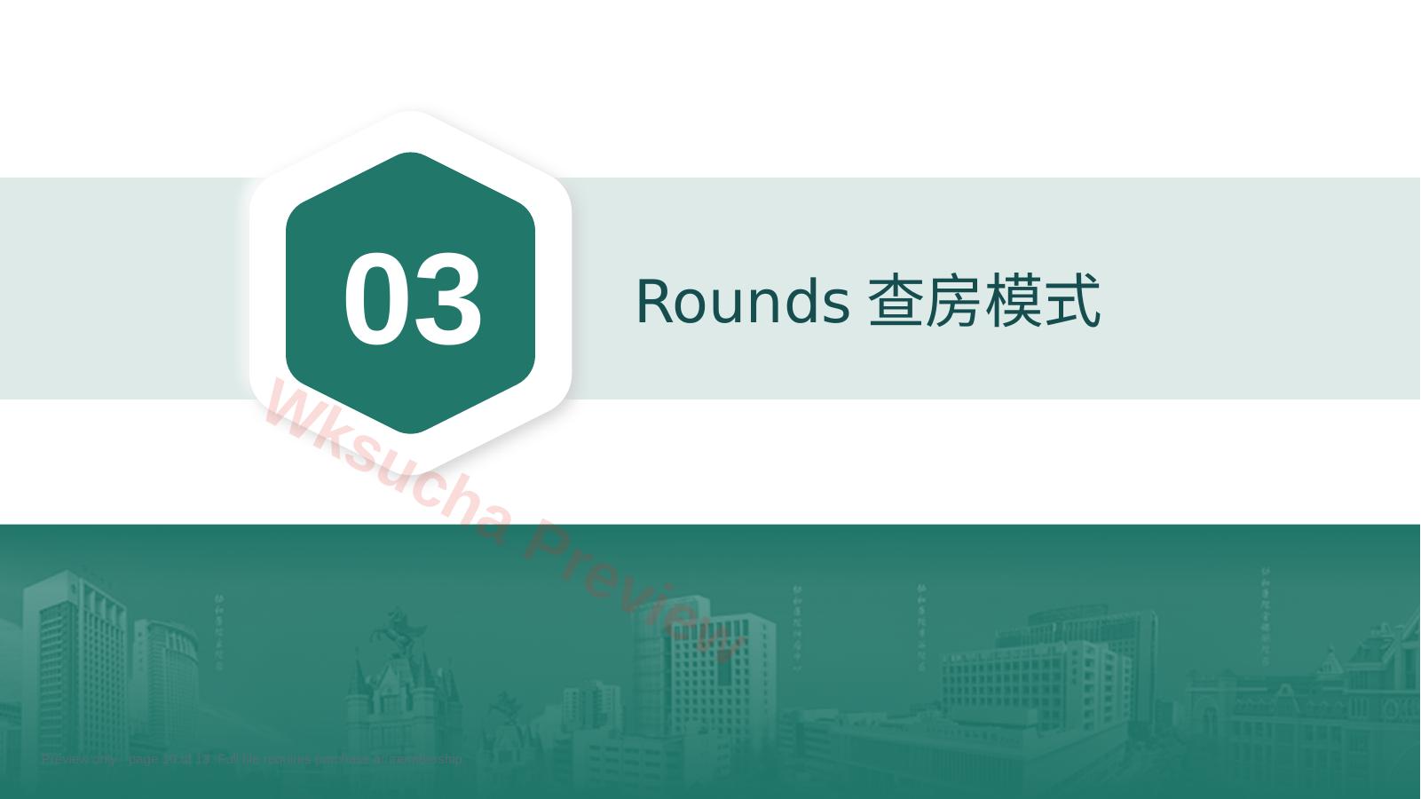 预览第 10 页