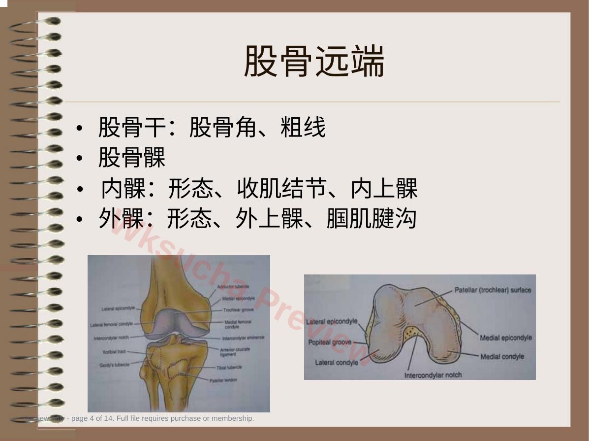 预览第 4 页