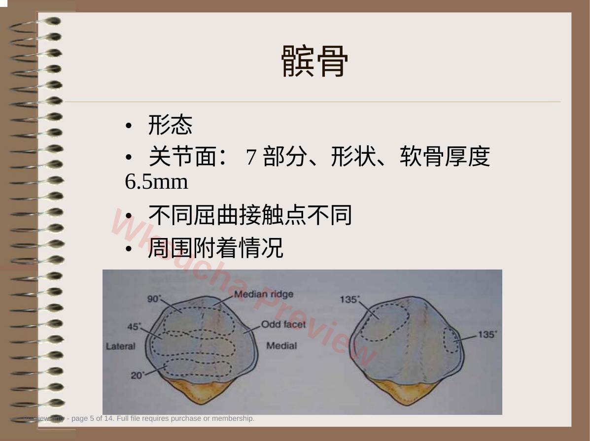 预览第 5 页