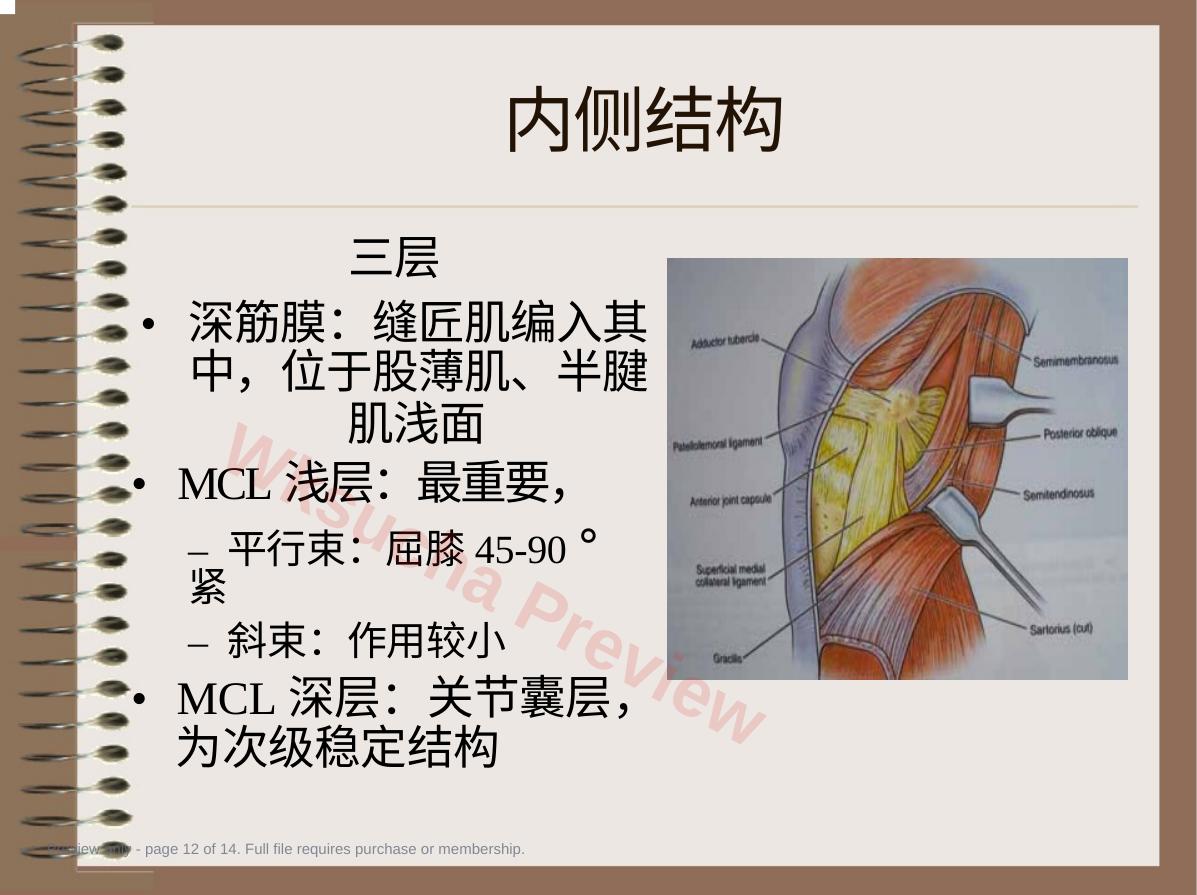 预览第 12 页
