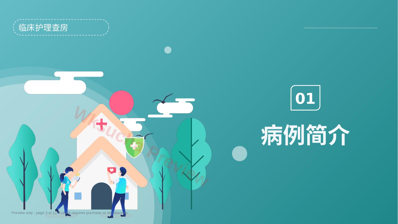 预览第 3 页