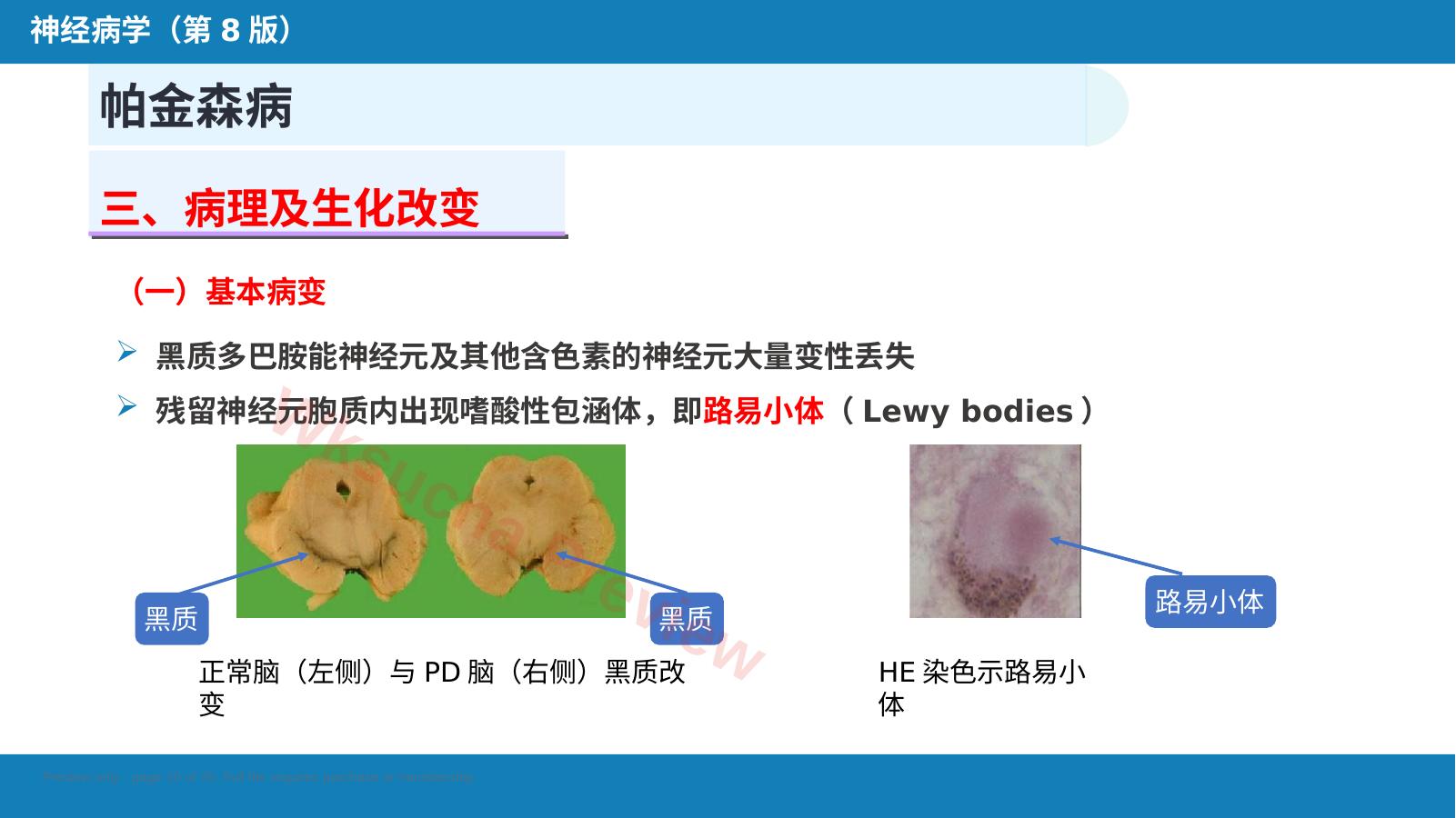 预览第 10 页