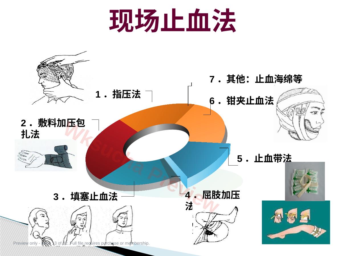 预览第 13 页