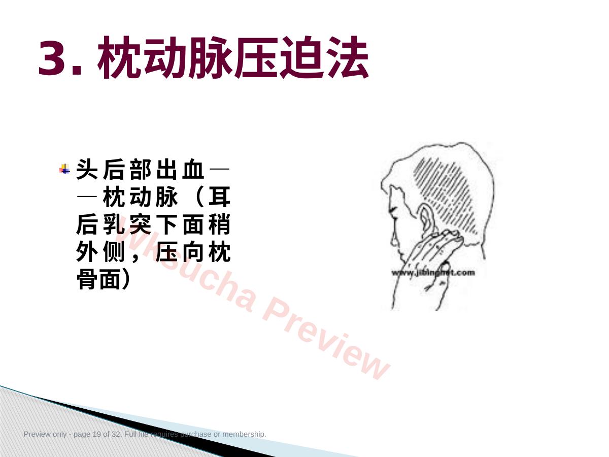 预览第 19 页