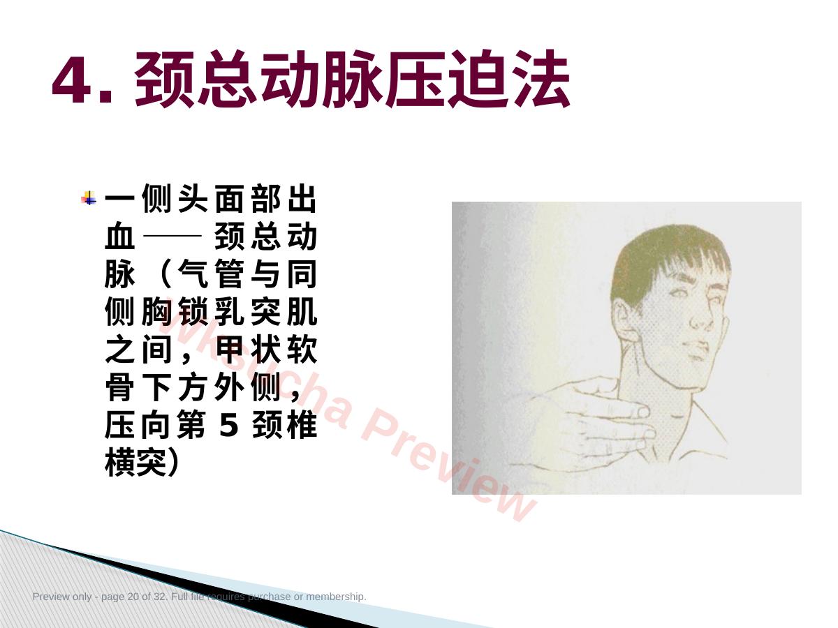 预览第 20 页