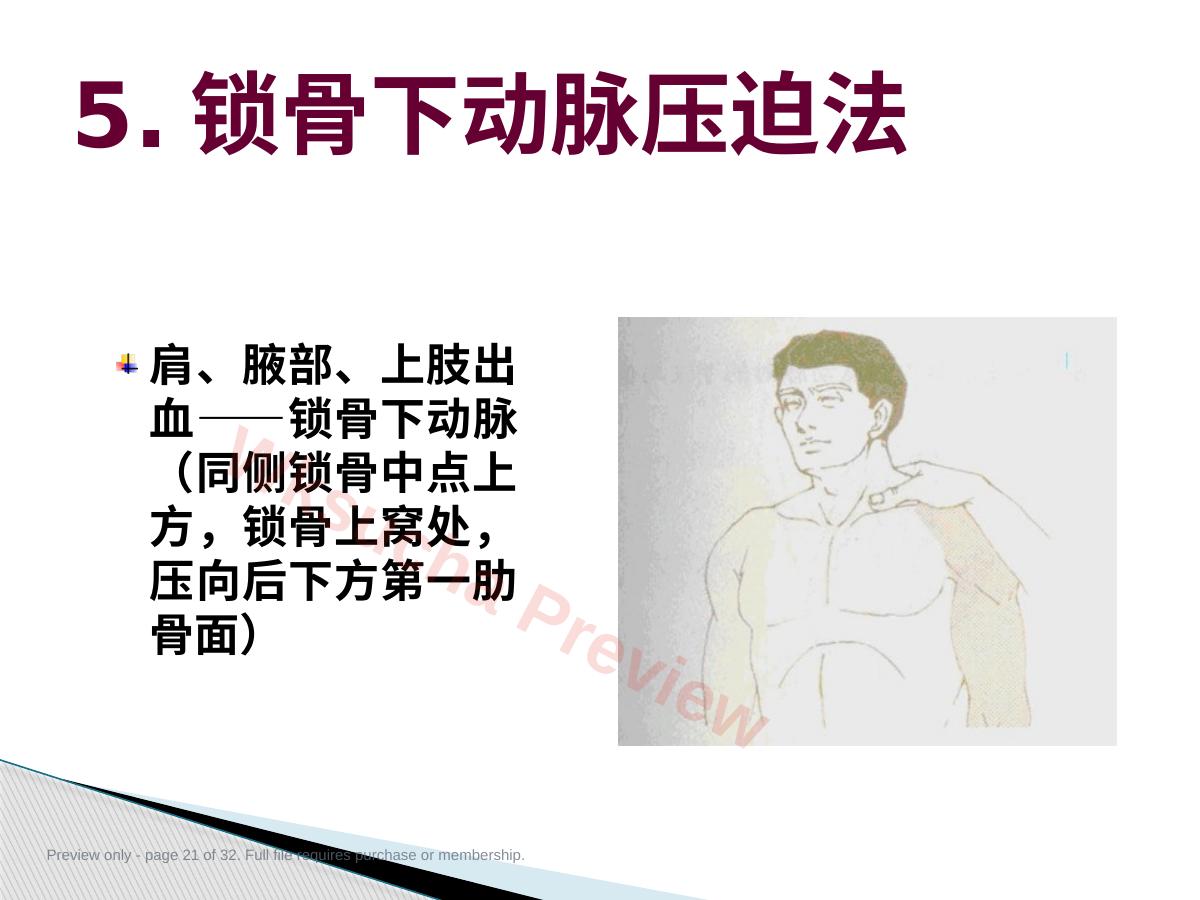 预览第 21 页