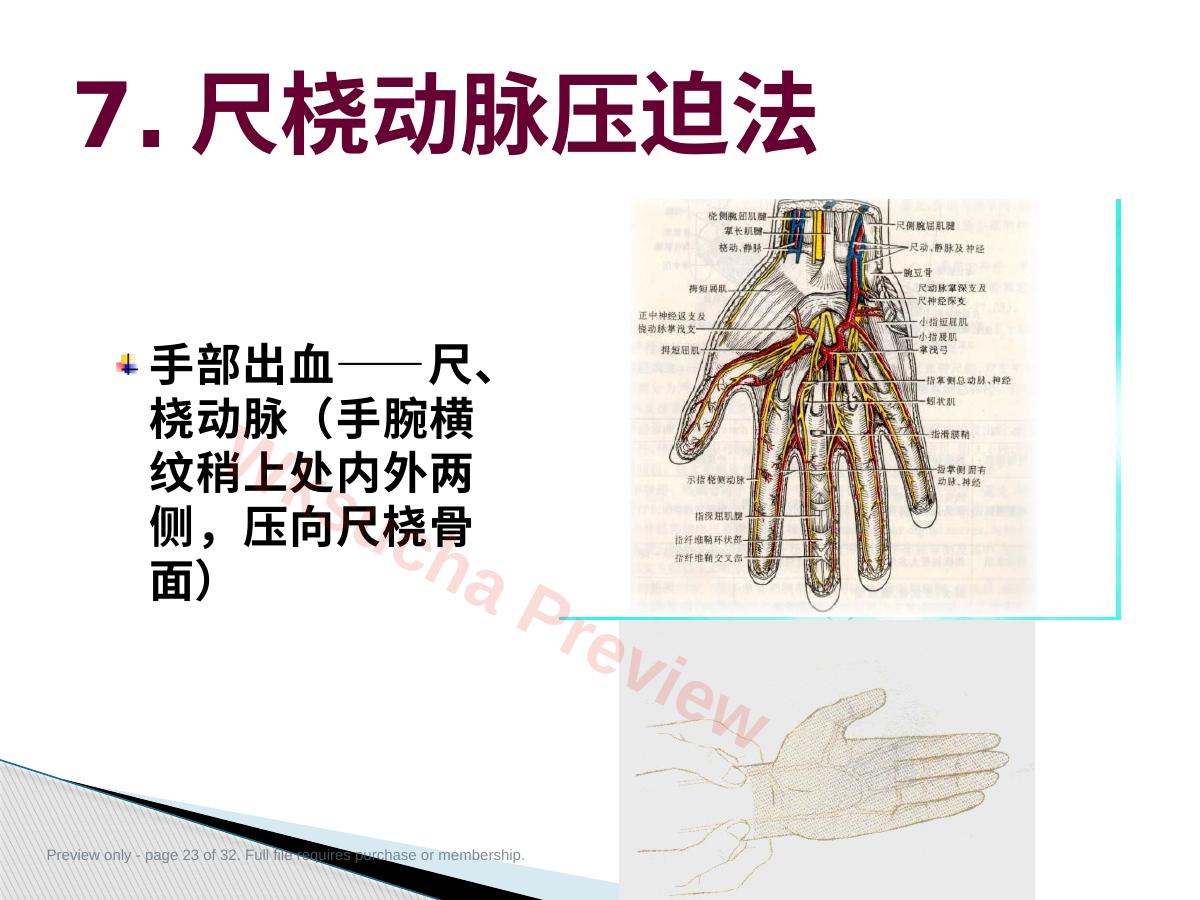 预览第 23 页