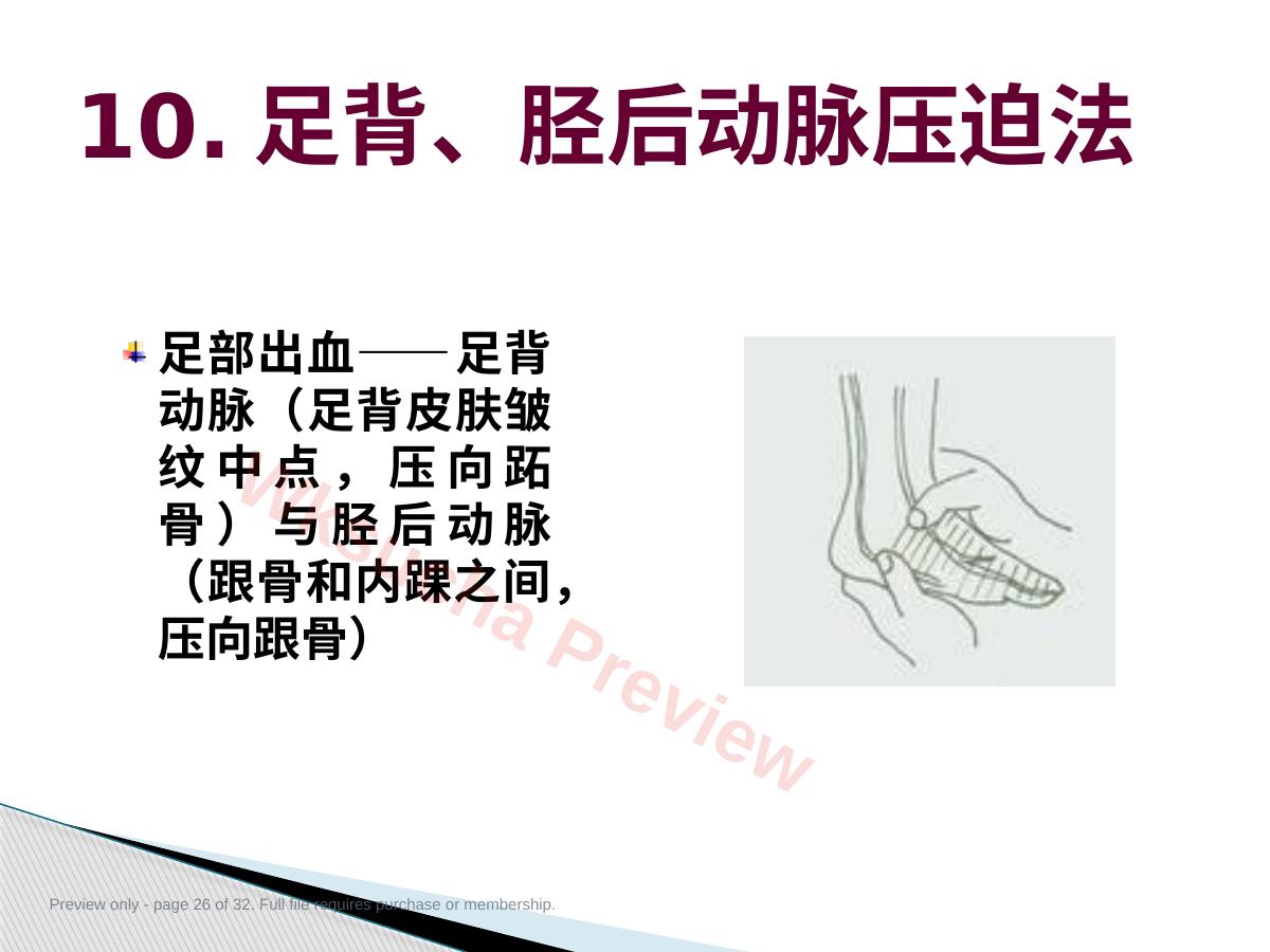 预览第 26 页