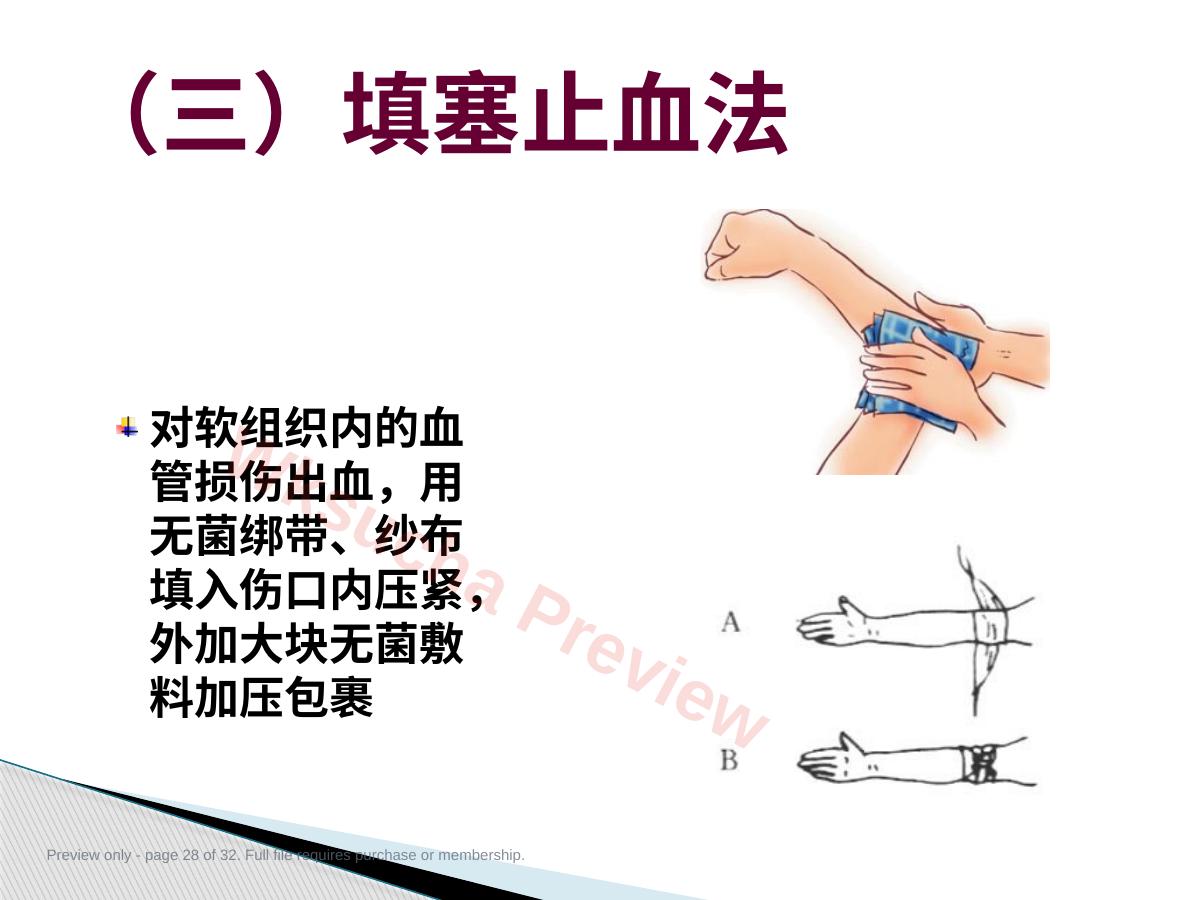 预览第 28 页