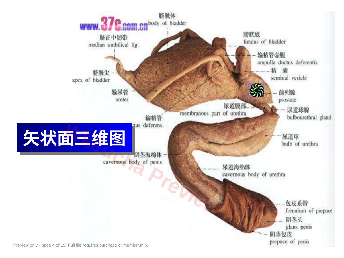 预览第 4 页