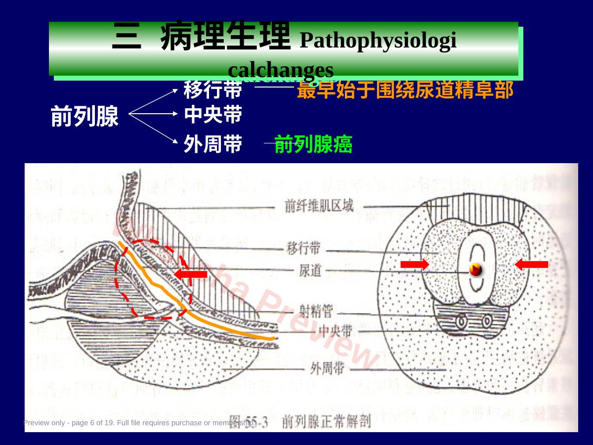 预览第 6 页